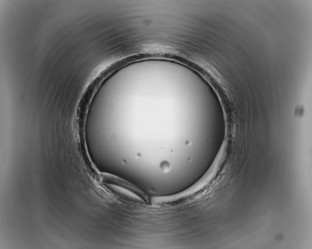 X0000099311022200805161408