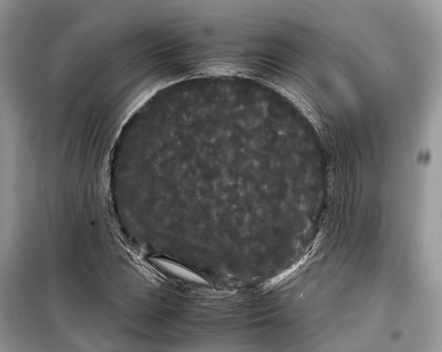 X0000099311023200805161408