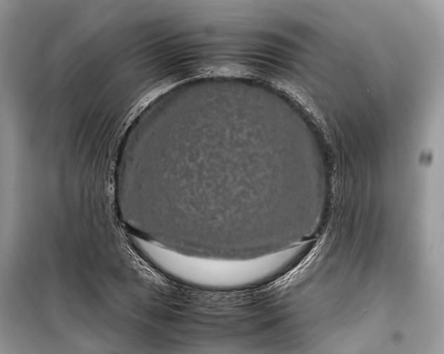 X0000099311025200805161408