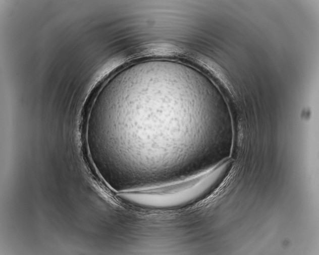 X0000099311026200805161408