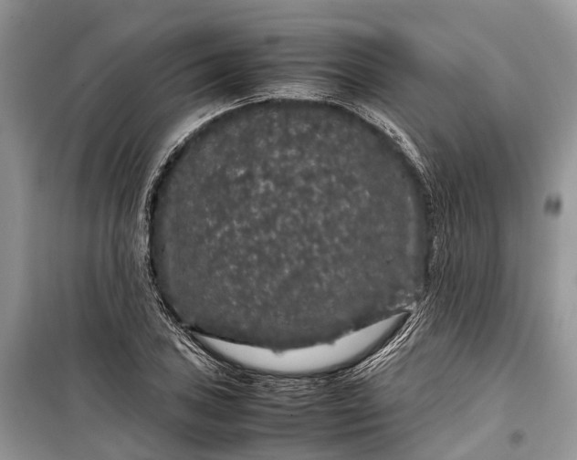 X0000099311027200805161408