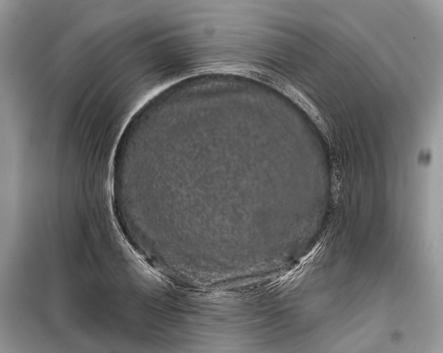 X0000099311028200805161408