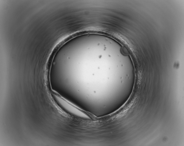 X0000099311029200805161408