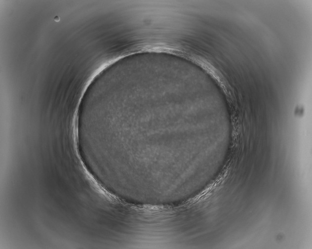 X0000099311032200805161408