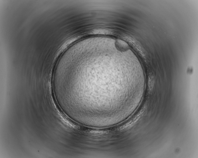 X0000099311033200805161408