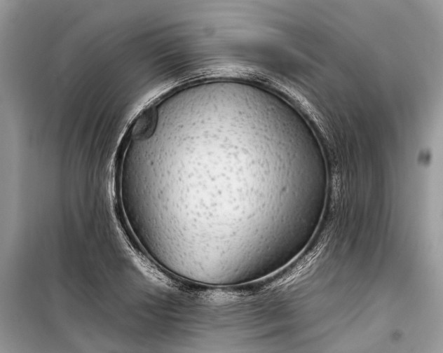 X0000099311034200805161408