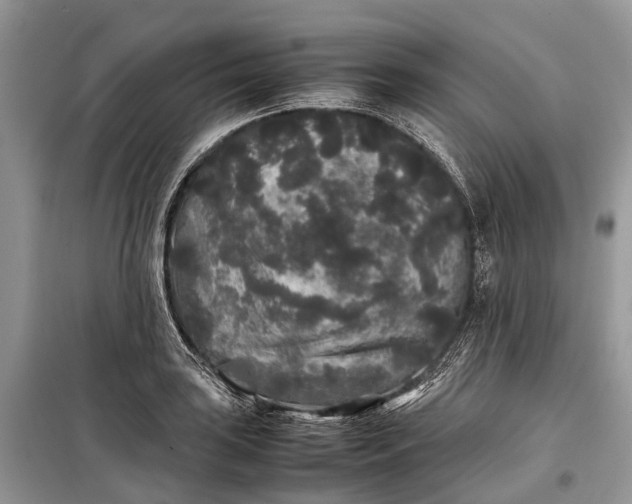 X0000099311035200805161408