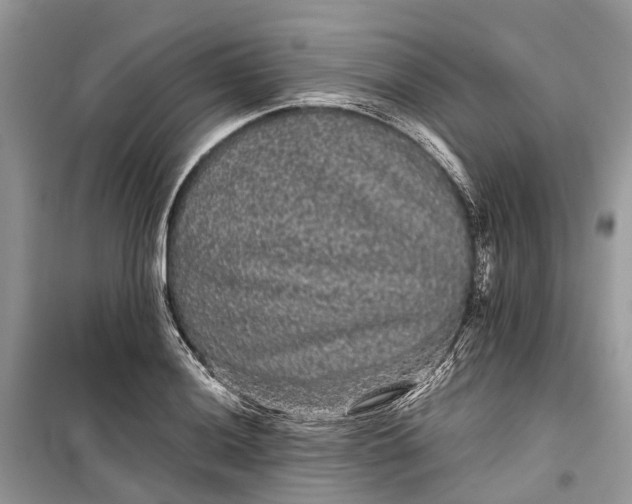 X0000099311036200805161408