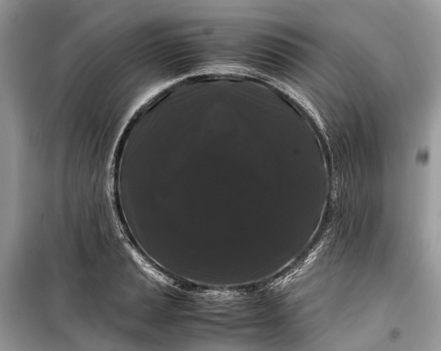 X0000099311037200805161408