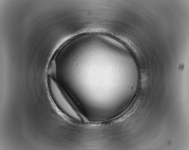 X0000099311038200805161408