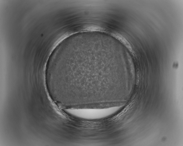 X0000099311039200805161408