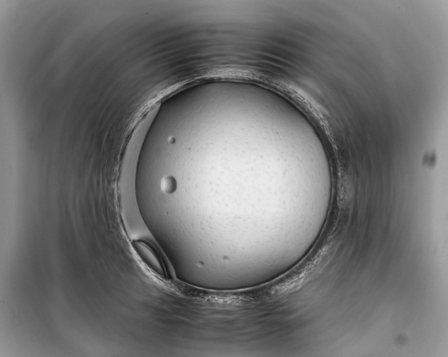 X0000099311041200805161408