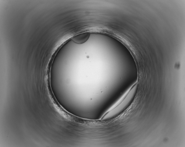 X0000099311042200805161408