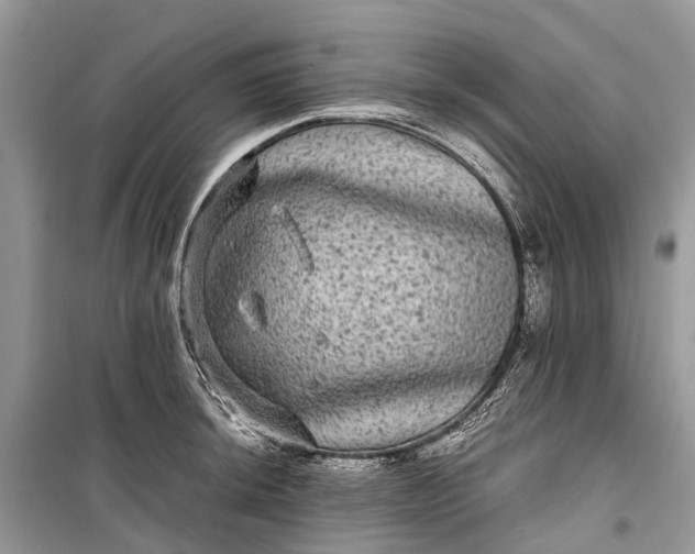 X0000099311044200805161408