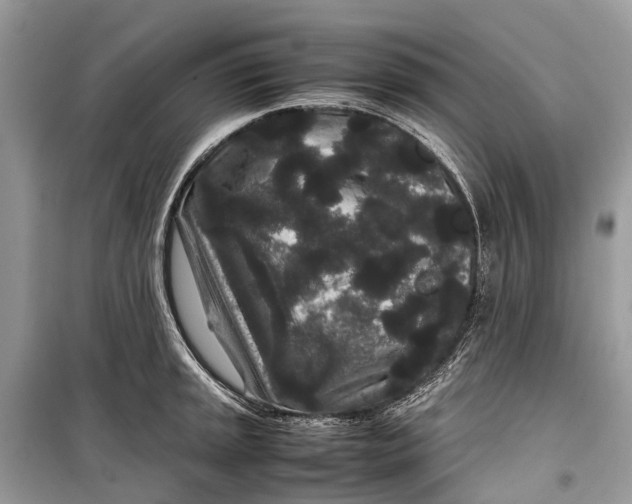 X0000099311045200805161408