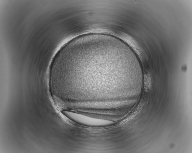 X0000099311046200805161408