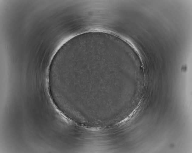 X0000099311048200805161408