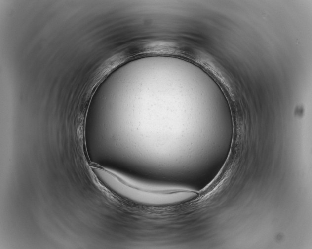 X0000099311049200805161408