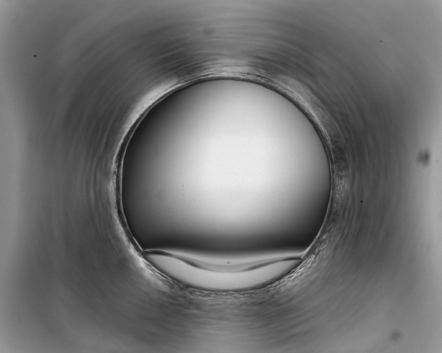 X0000099311050200805161408