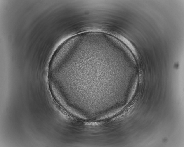 X0000099311051200805161408