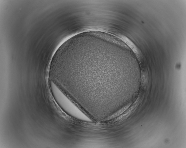 X0000099311052200805161408