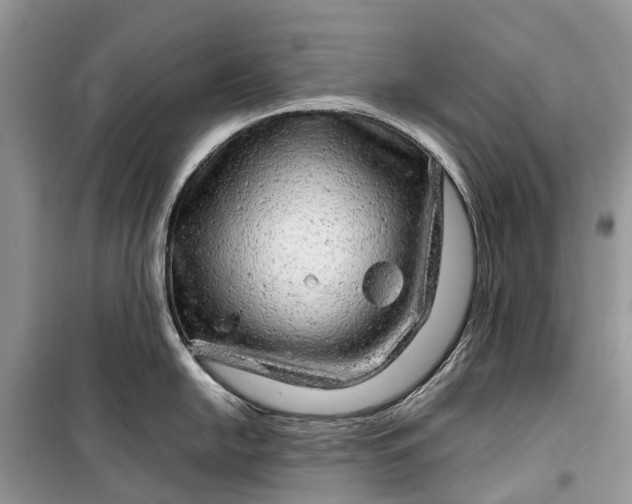 X0000099311054200805161408