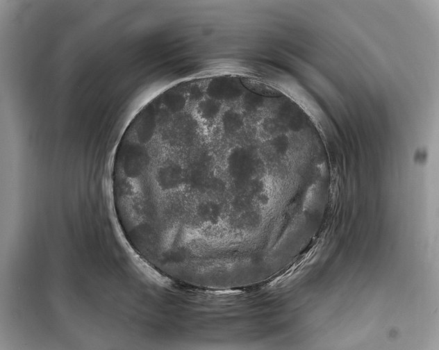 X0000099311055200805161408