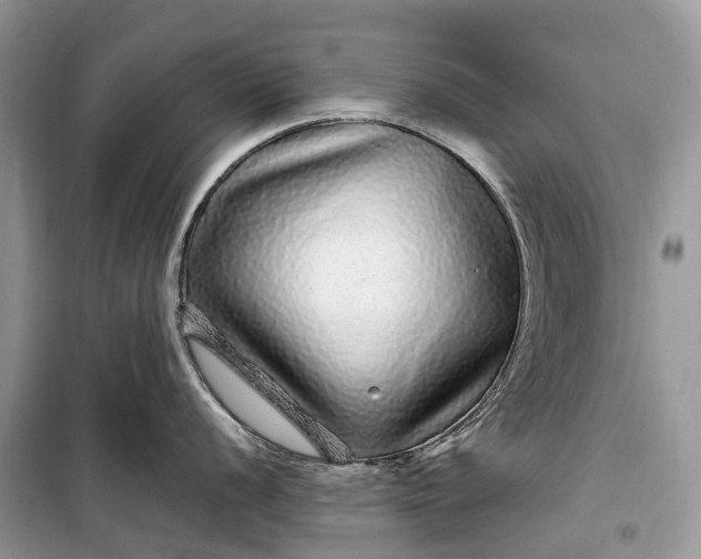 X0000099311056200805161408