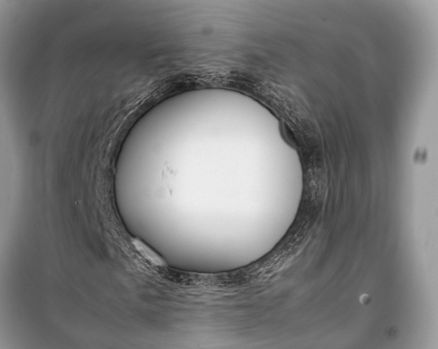 X0000099311057200805161408