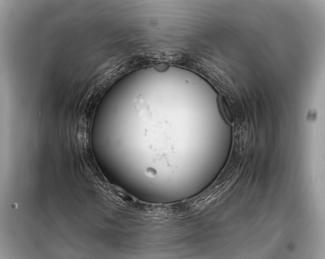 X0000099311058200805161408