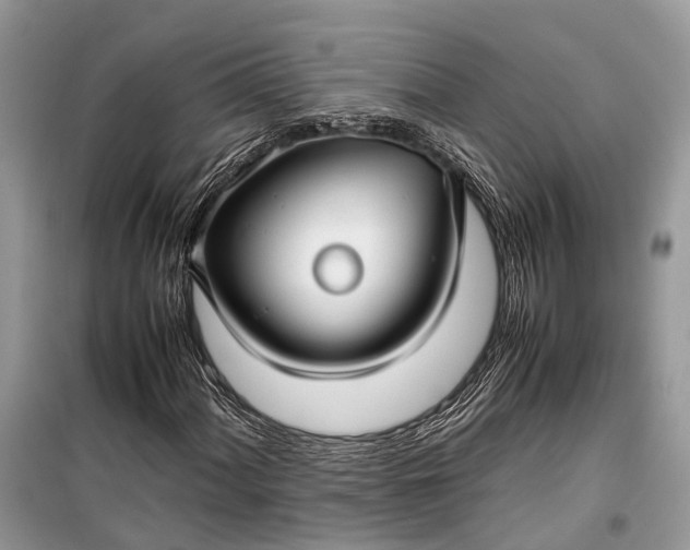 X0000099311060200805161407