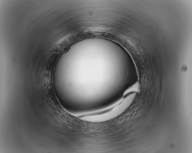 X0000099311062200805161407