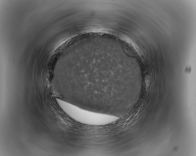 X0000099311064200805161407