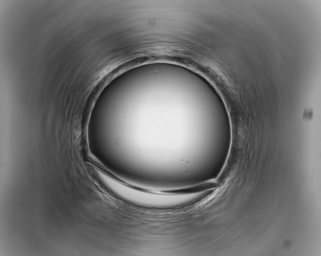 X0000099311065200805161407