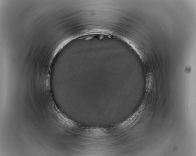 X0000099311066200805161407