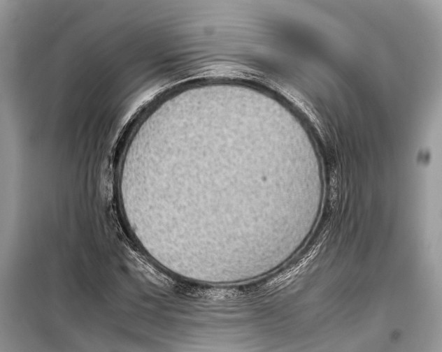 X0000099311067200805161407