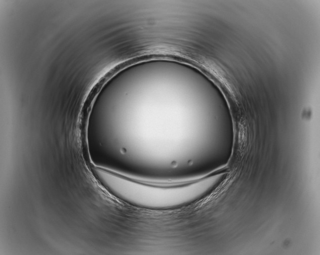 X0000099311068200805161407