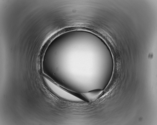 X0000099311069200805161407