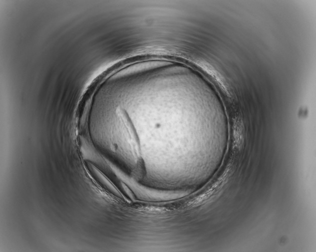 X0000099311070200805161407