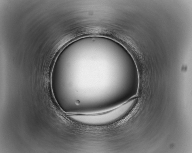 X0000099311073200805161407