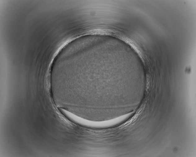 X0000099311075200805161407