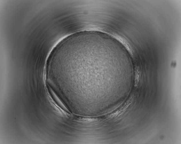 X0000099311076200805161407