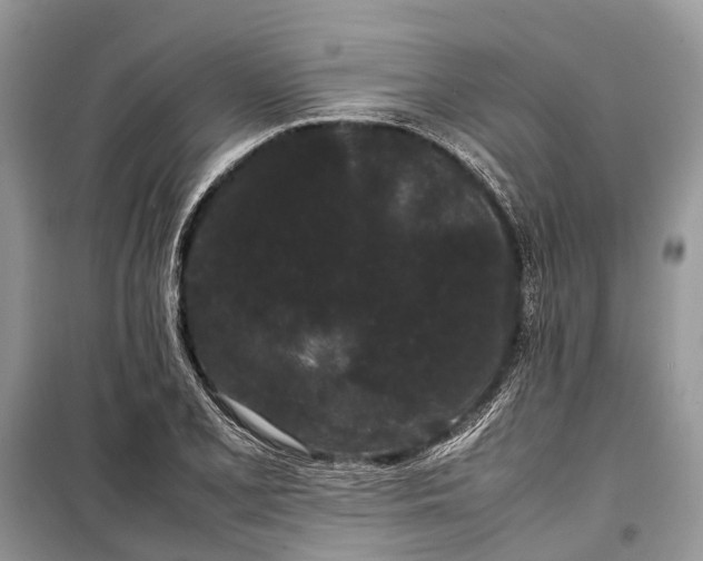 X0000099311077200805161407