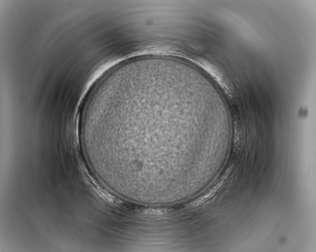 X0000099311078200805161407