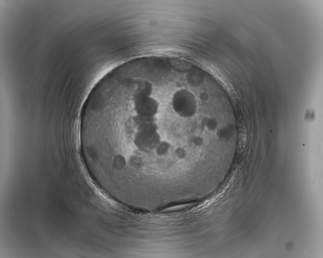 X0000099311079200805161407