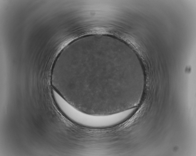 X0000099311081200805161407