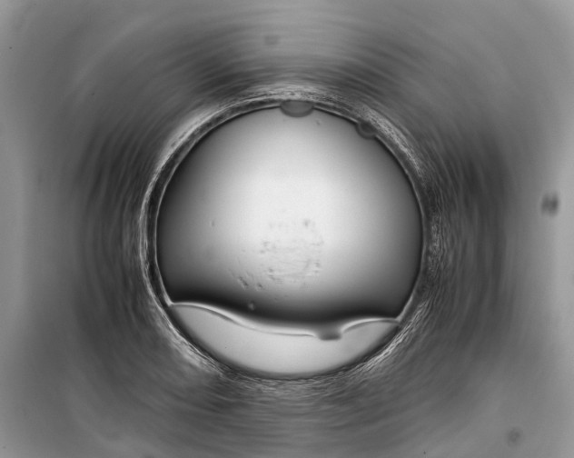 X0000099311082200805161407