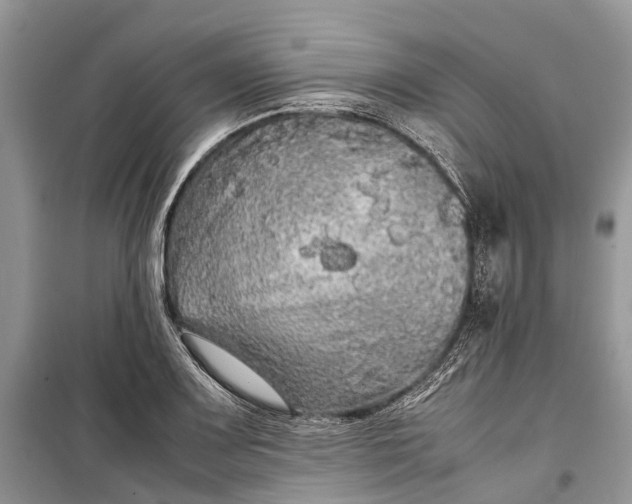 X0000099311083200805161407