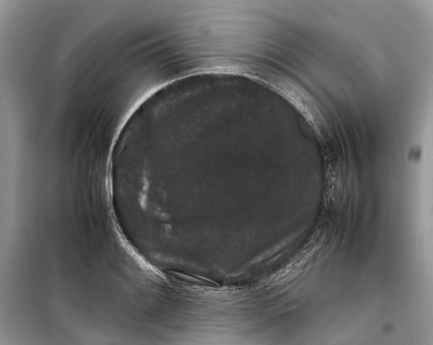 X0000099311084200805161407