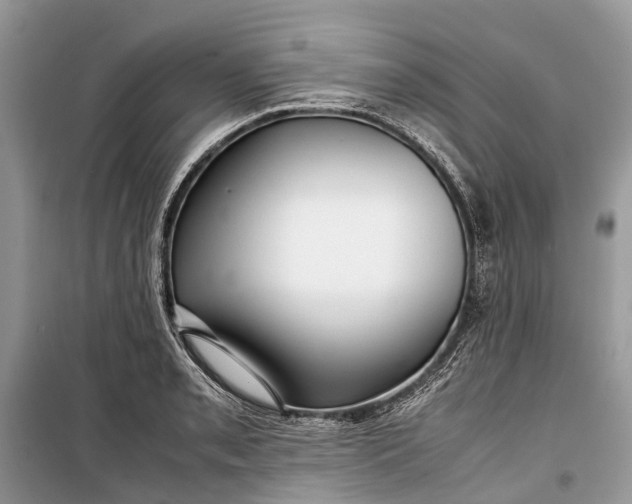 X0000099311085200805161407